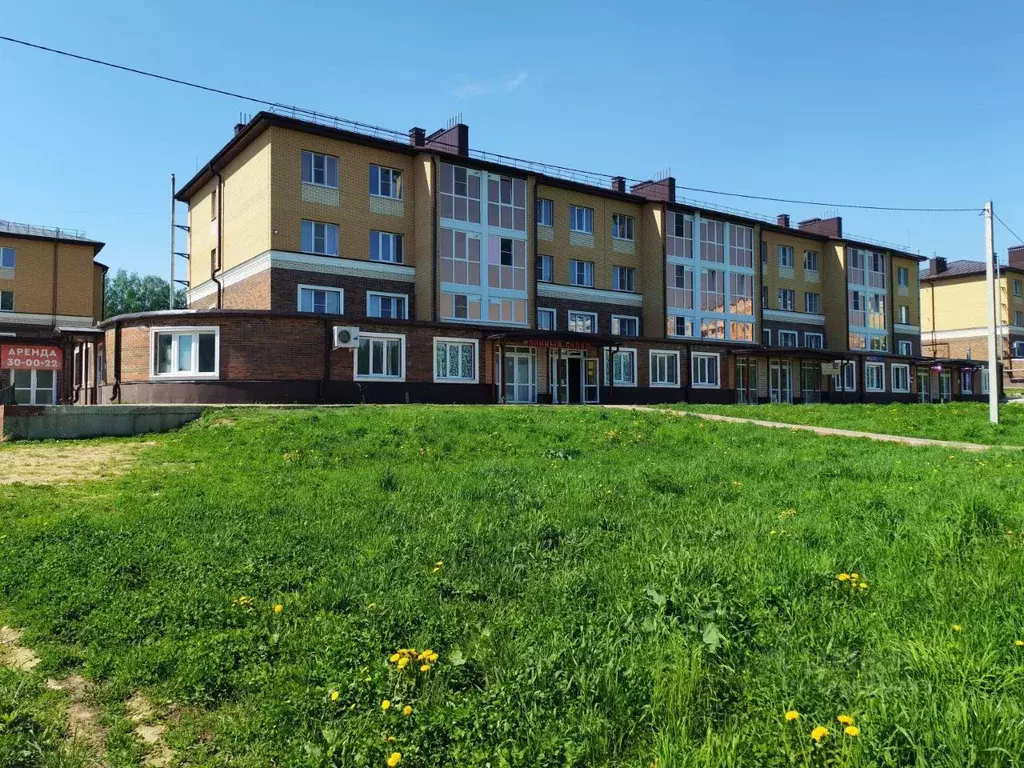 Помещение свободного назначения в Костромская область, Кострома ул. ... - Фото 1