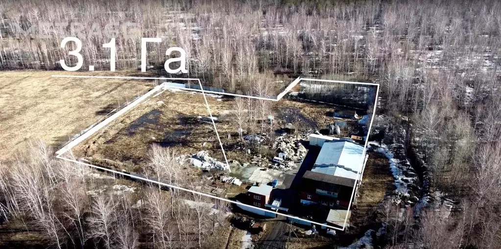 Склад в Новосибирская область, Мошковский район, с. Сокур Садовая ул. ... - Фото 1