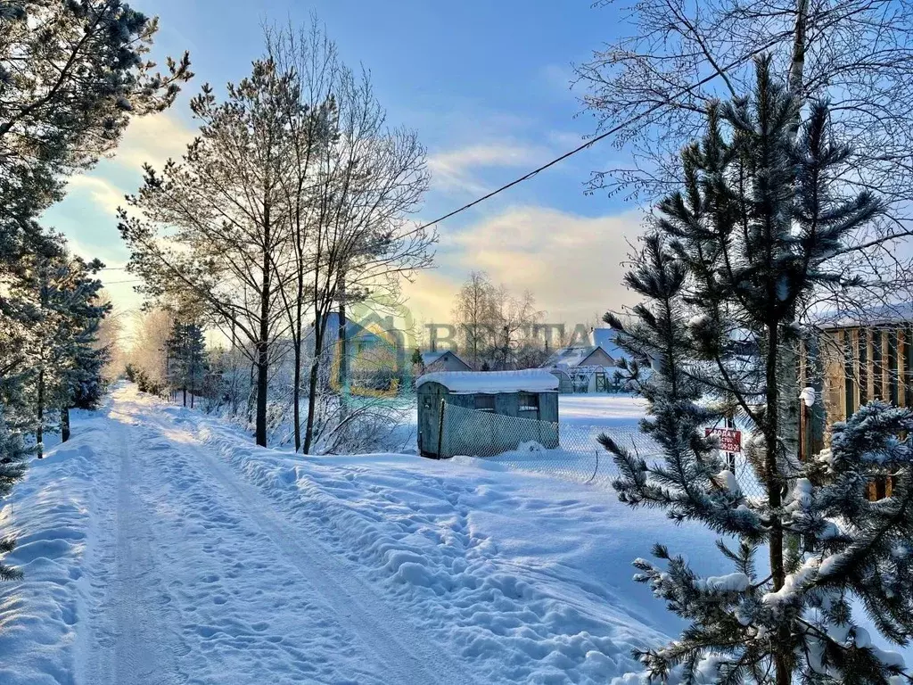 Участок в Санкт-Петербург, Санкт-Петербург, Павловск Звездочка СНТ, ... - Фото 1