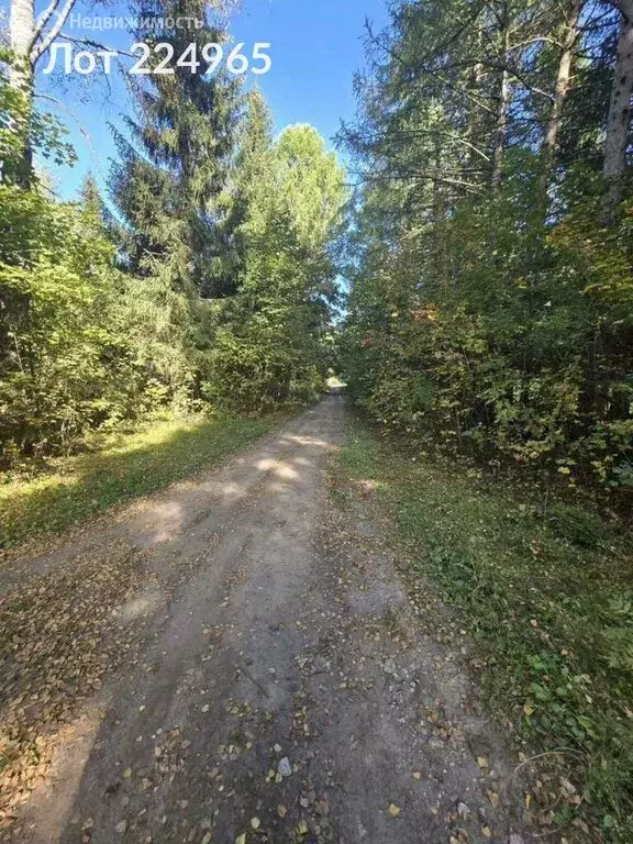 Участок в Орехово-Зуевский городской округ, село Гора, 46А (165 м) - Фото 2