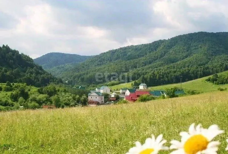 Участок в Алтайский край, Бийск Алтайская ул. (11.0 сот.) - Фото 0