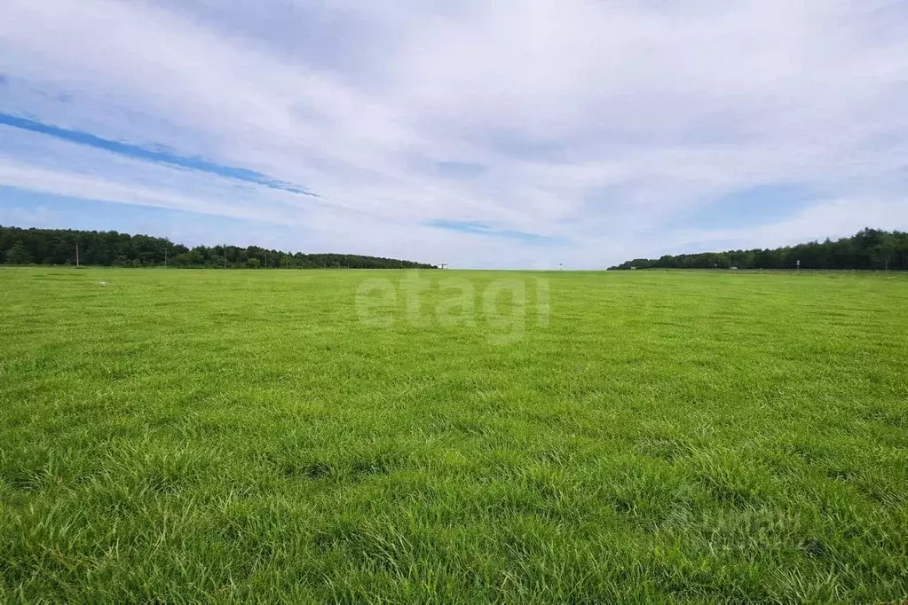 Участок в Сахалинская область, Анивский городской округ, с. Мицулевка  ... - Фото 2