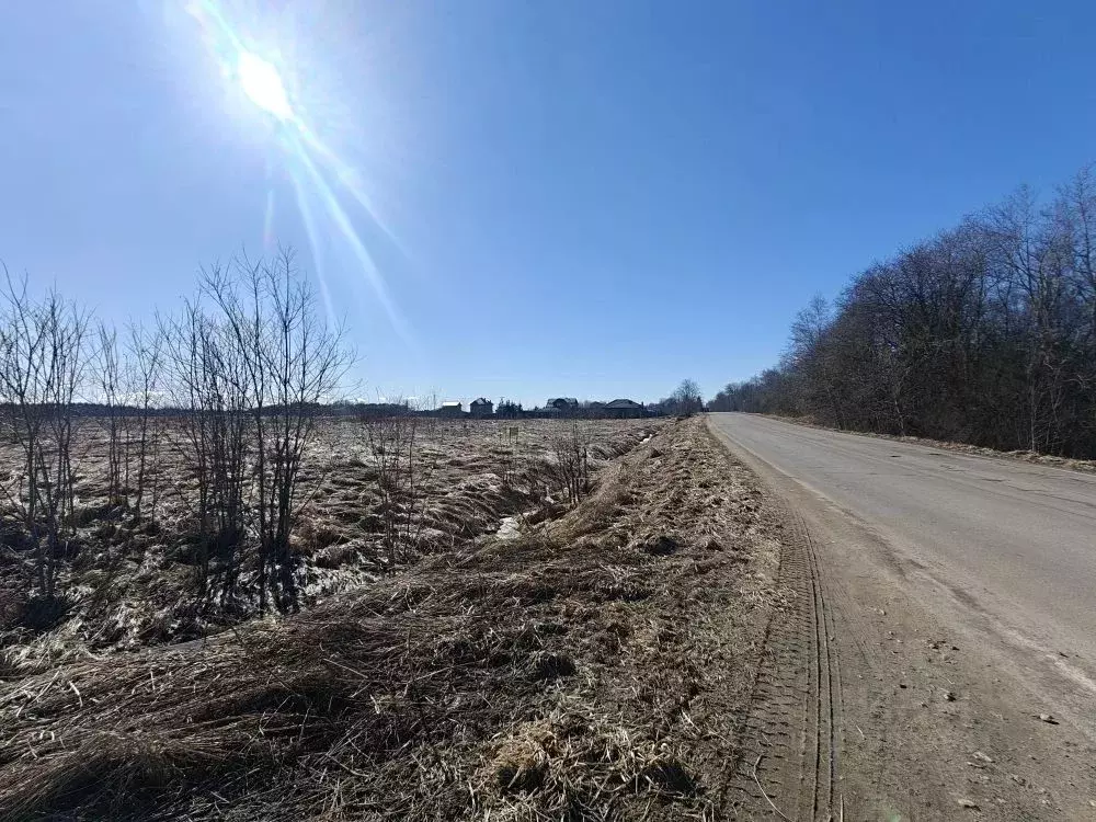 Участок в Ленинградская область, Ломоносовский район, Лопухинское ... - Фото 2