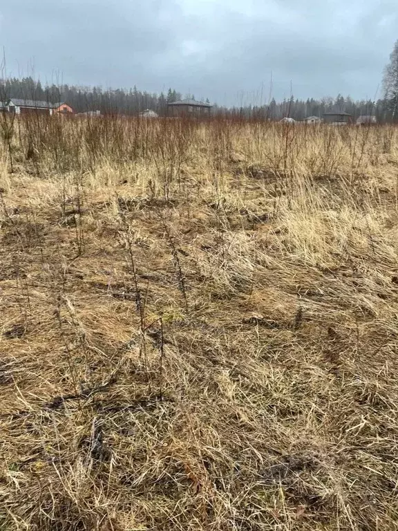 Участок в Москва № 185 кв-л, 94 (13.5 сот.) - Фото 1