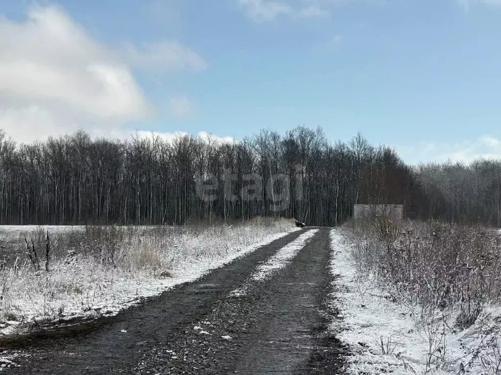 Участок в Мордовия, Саранск Восход садоводческое товарищество,  (4.0 ... - Фото 1
