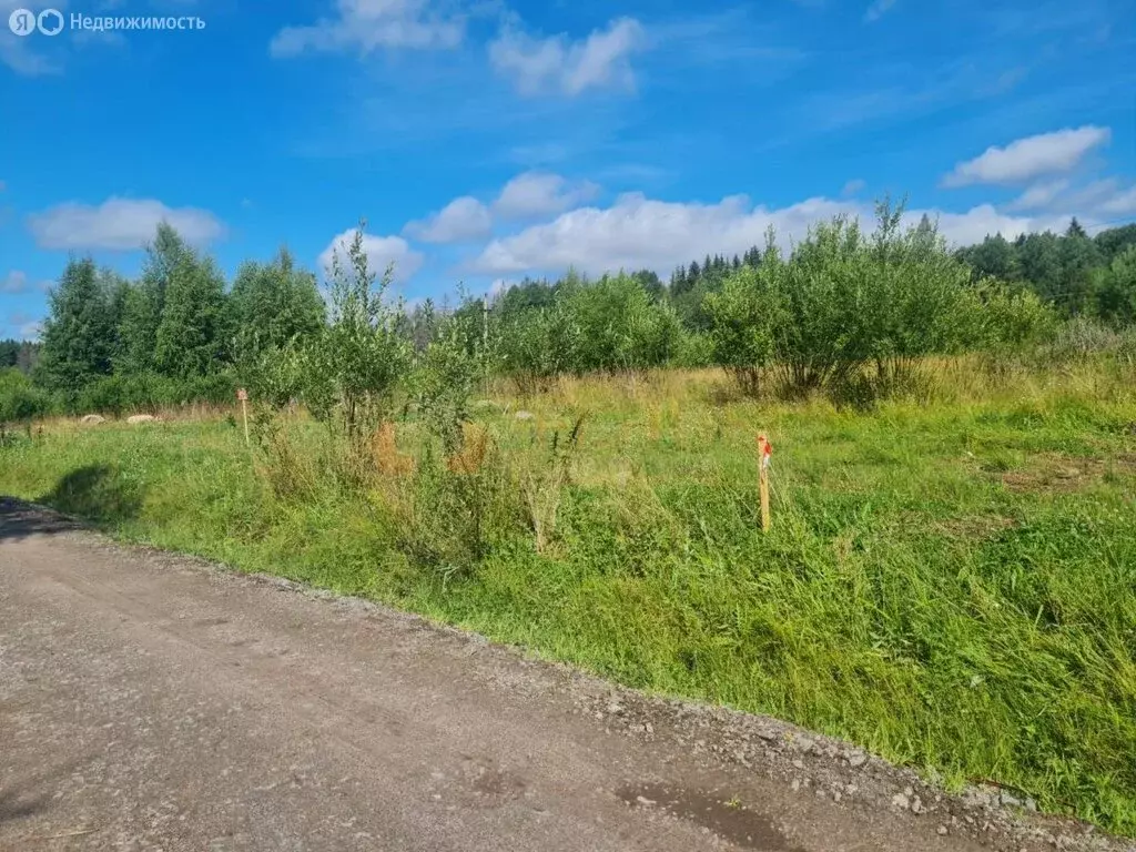 Участок в Выборгский район, Рощинское городское поселение, коттеджный ... - Фото 1