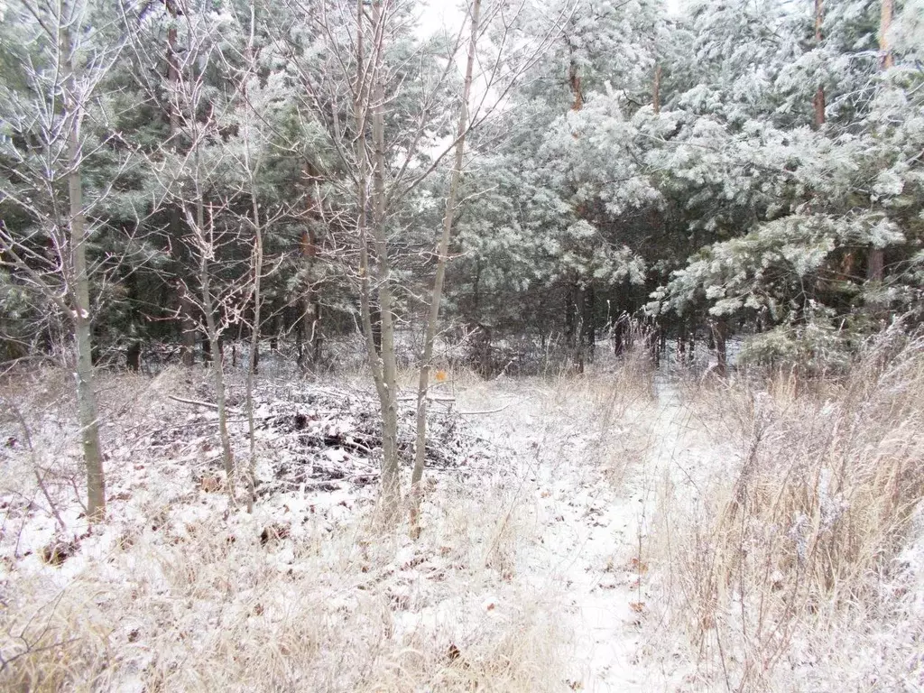 Участок в Саратовская область, Саратов ул. Валентиновская (10.0 сот.) - Фото 2