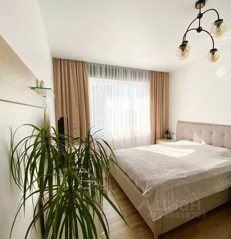 1-к кв. Калининградская область, Зеленоградск ул. Героя России ... - Фото 1