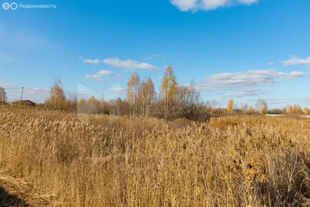 Участок в Тюмень, садовое товарищество Поле Чудес, Высокая улица, 750 ... - Фото 1