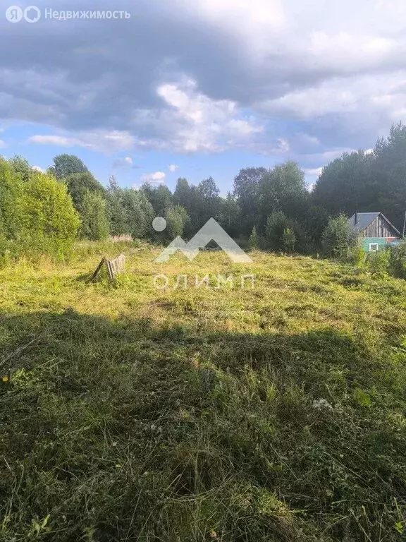 Участок в Вологодская область, Грязовецкий муниципальный округ, ... - Фото 1