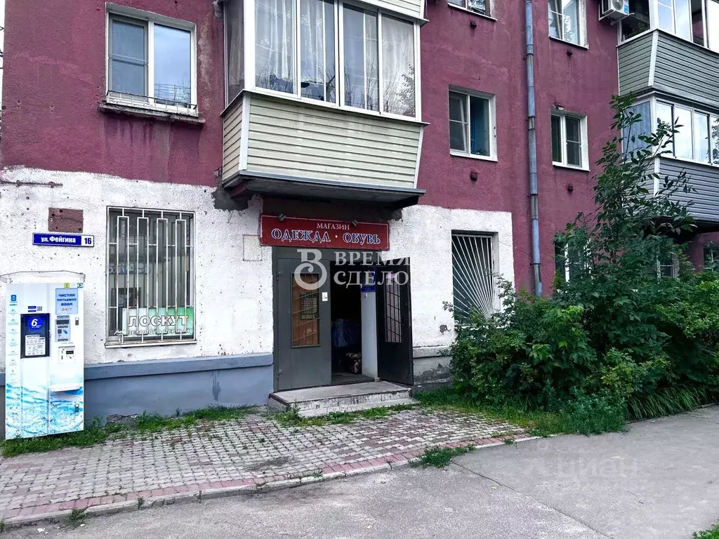 Торговая площадь в Владимирская область, Владимир ул. Фейгина, 16 (75 ... - Фото 1