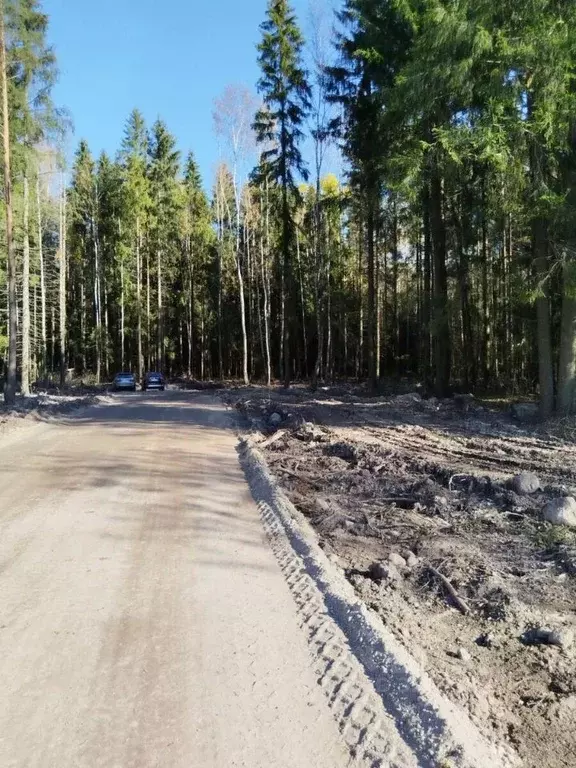 Участок в Ленинградская область, Всеволожск  (37.5 сот.) - Фото 1