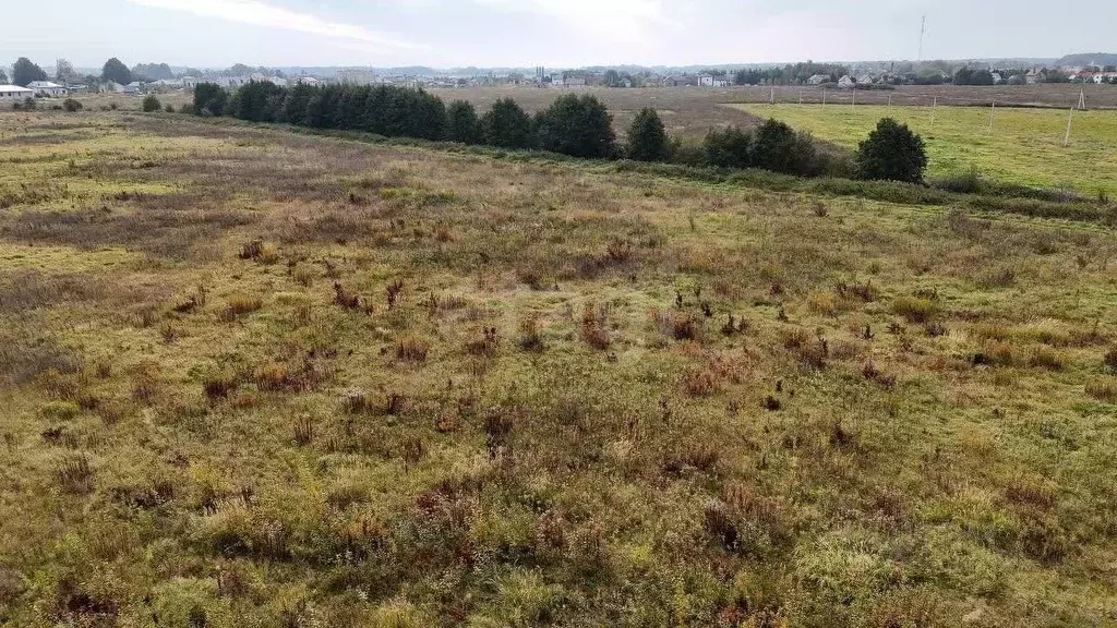 Участок в Калининградская область, Зеленоградский муниципальный округ, ... - Фото 0