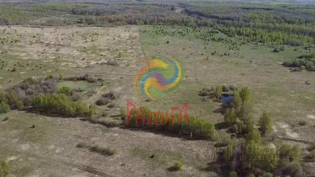 Участок в Владимирская область, Юрьев-Польский муниципальный округ, с. ... - Фото 2