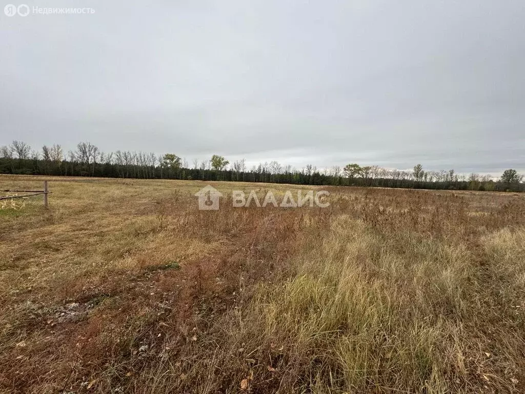 Участок в Старооскольский городской округ, село Черниково (15 м) - Фото 1