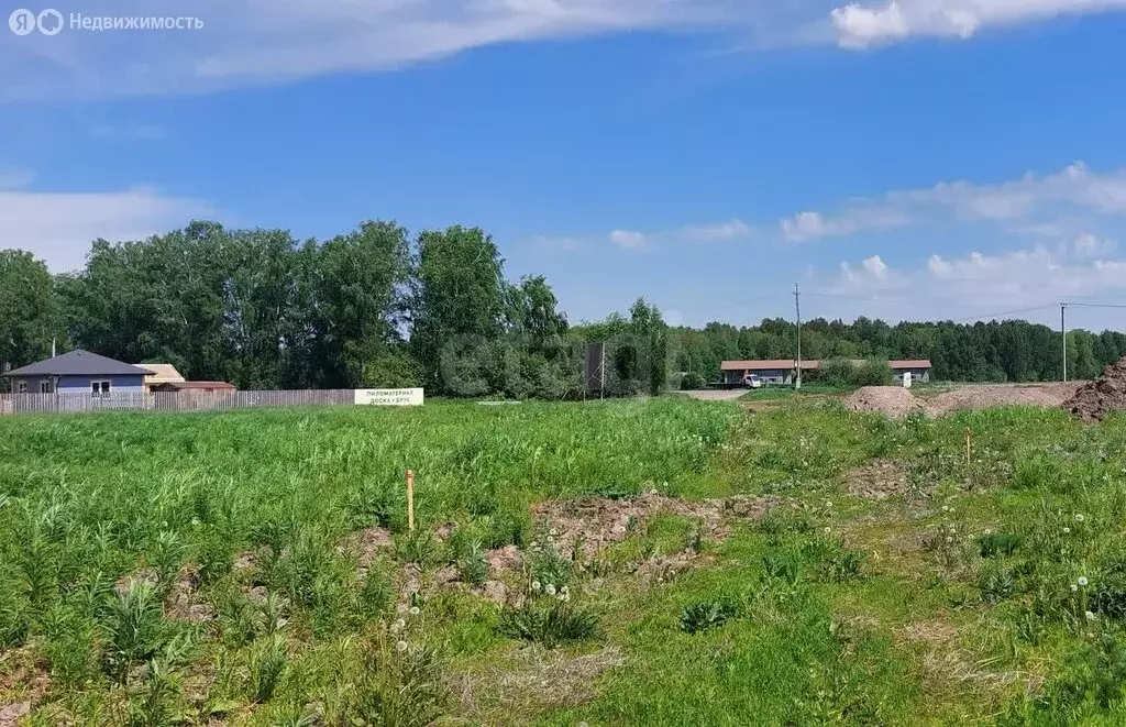Участок в Тюменский район, село Каменка (40 м) - Фото 0