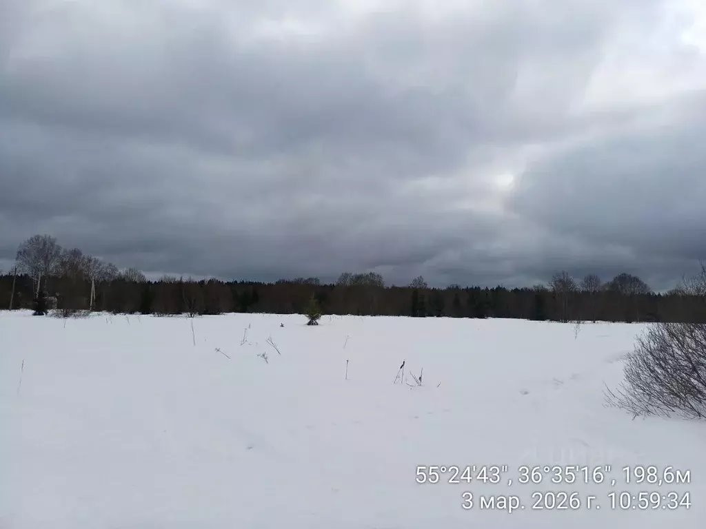 Участок в Московская область, Наро-Фоминский городской округ, д. ... - Фото 1