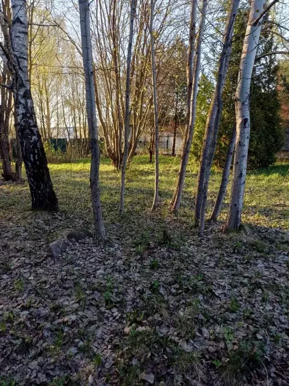Участок в Московская область, Химки городской округ, д. Исаково ул. ... - Фото 1