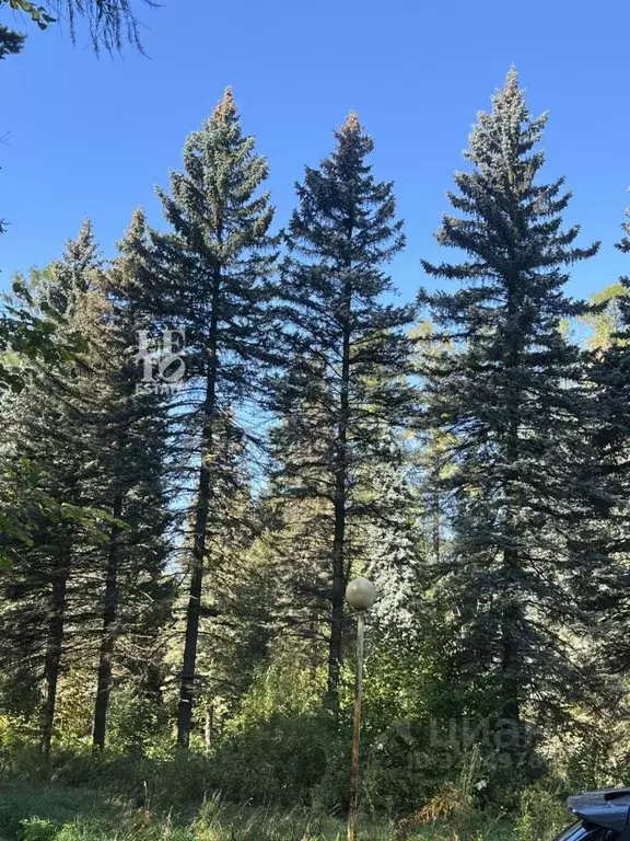 Участок в Московская область, Химки Новогорск мкр, ул. Заречная (7.5 ... - Фото 2