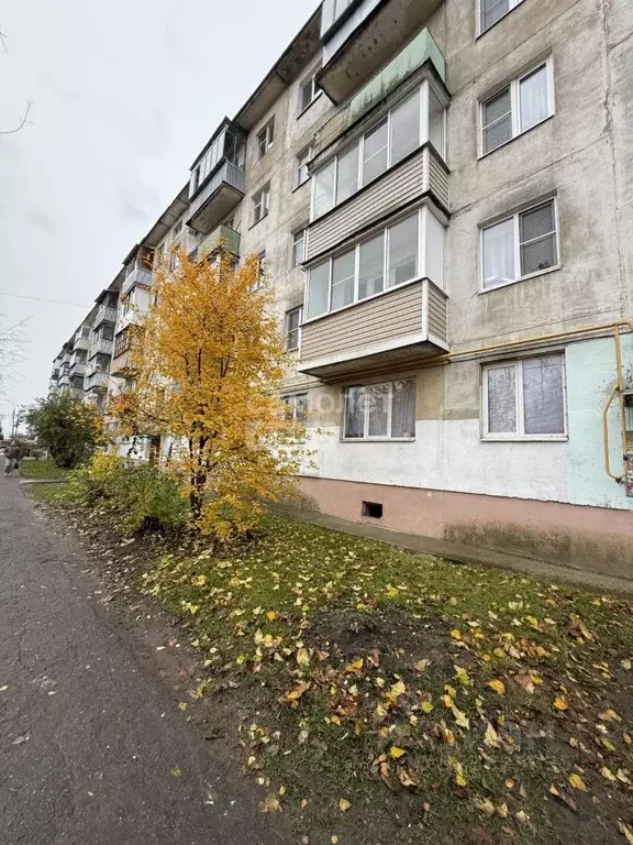 1-к кв. Московская область, Ликино-Дулево Орехово-Зуевский городской ... - Фото 0