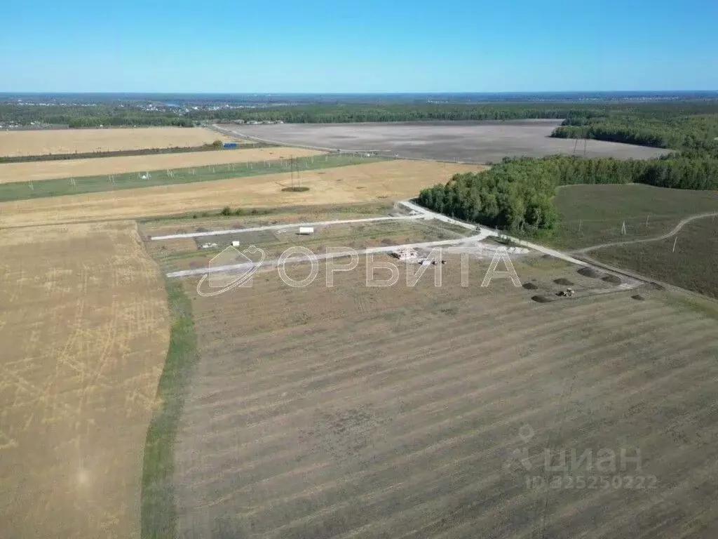 Участок в Свердловская область, Слободо-Туринский район, ... - Фото 2