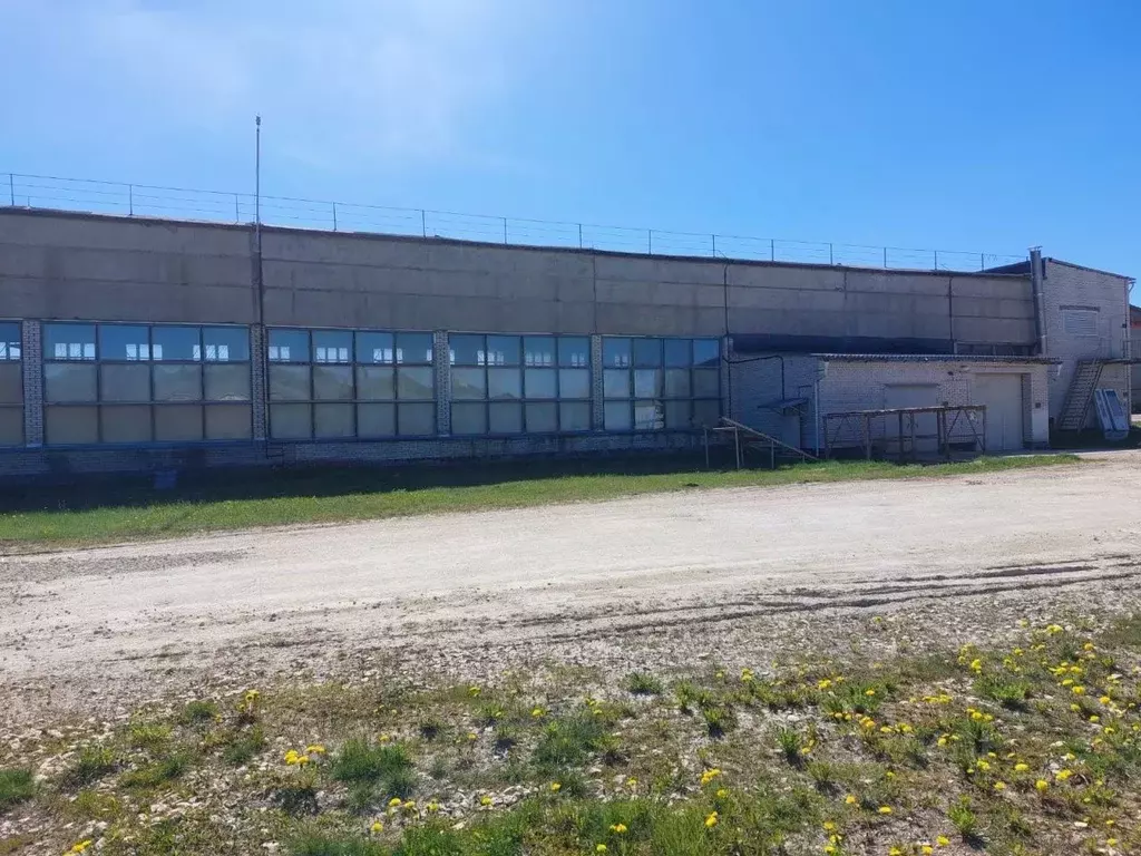 Помещение свободного назначения в Ленинградская область, Гатчинский ... - Фото 2