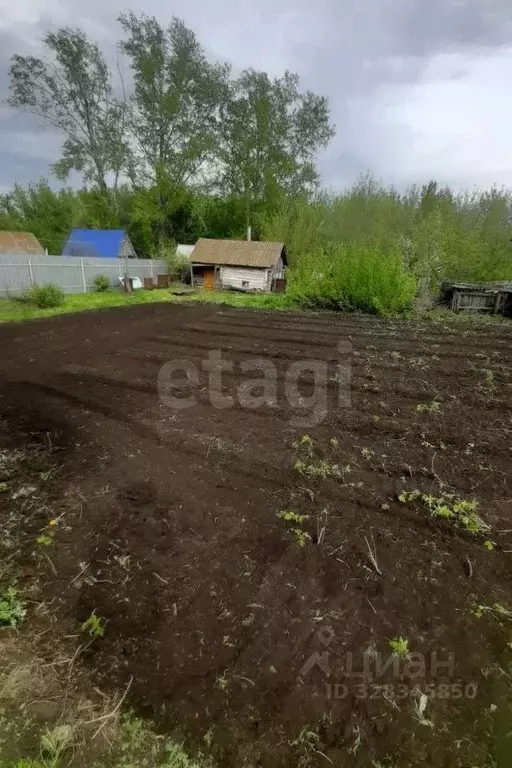 Дом в Башкортостан, Ишимбайский район, с. Петровское ул. Механизаторов ... - Фото 2