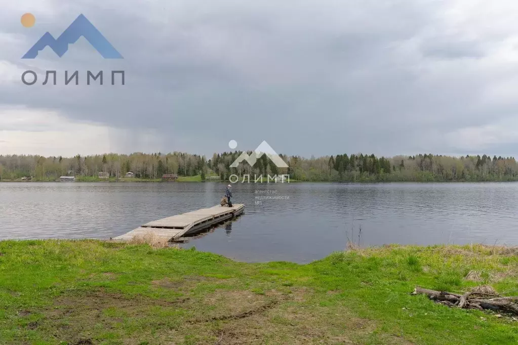 Участок в Вологодская область, Шекснинский муниципальный округ, ... - Фото 2