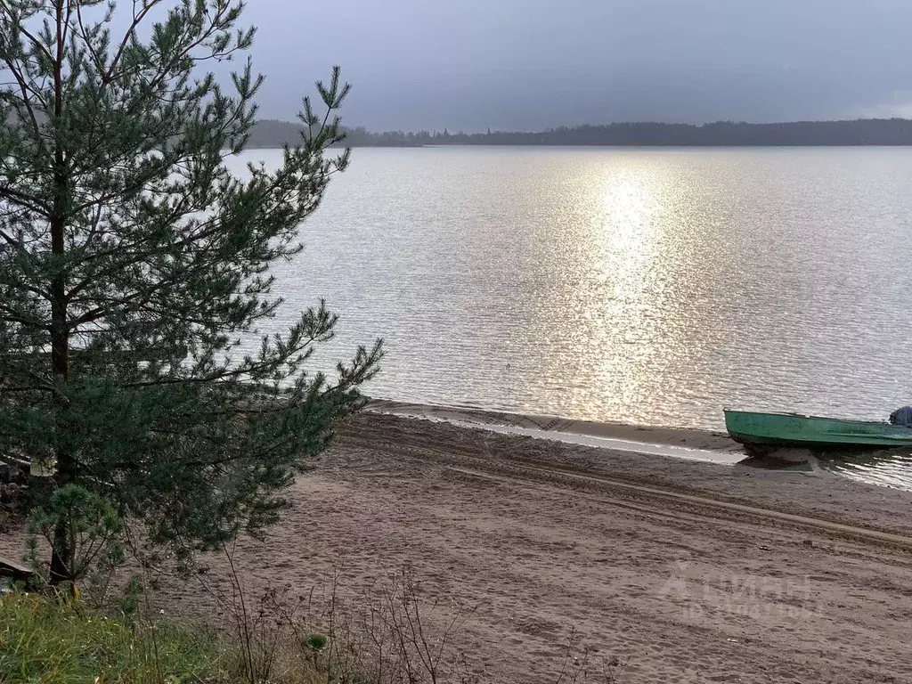 Участок в Тверская область, Осташковский муниципальный округ, д. ... - Фото 0