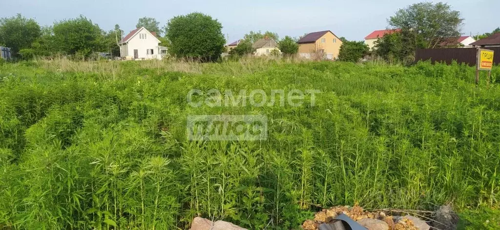 Участок в Приморский край, Артемовский городской округ, с. Кневичи ул. ... - Фото 1