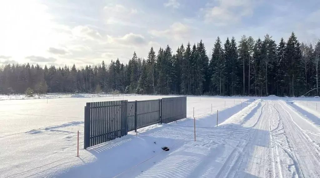 Участок в Московская область, Наро-Фоминский городской округ, Кедрица ... - Фото 1