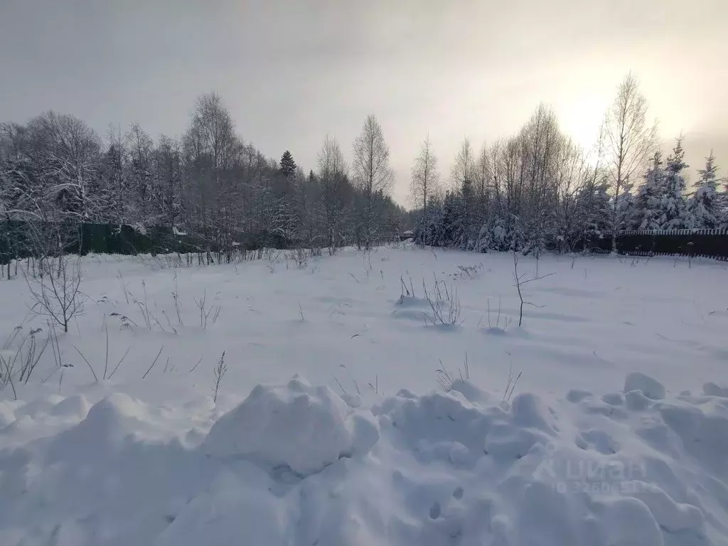 Участок в Москва № 182 кв-л, 33 (14.0 сот.) - Фото 2