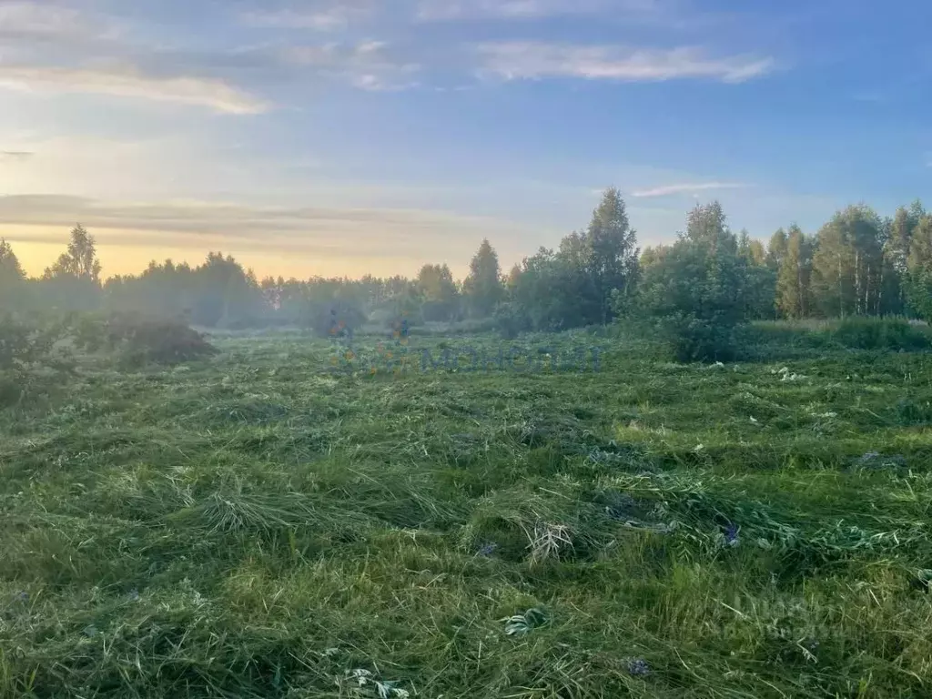 Участок в Нижегородская область, Арзамас городской округ, с. Пологовка ... - Фото 2