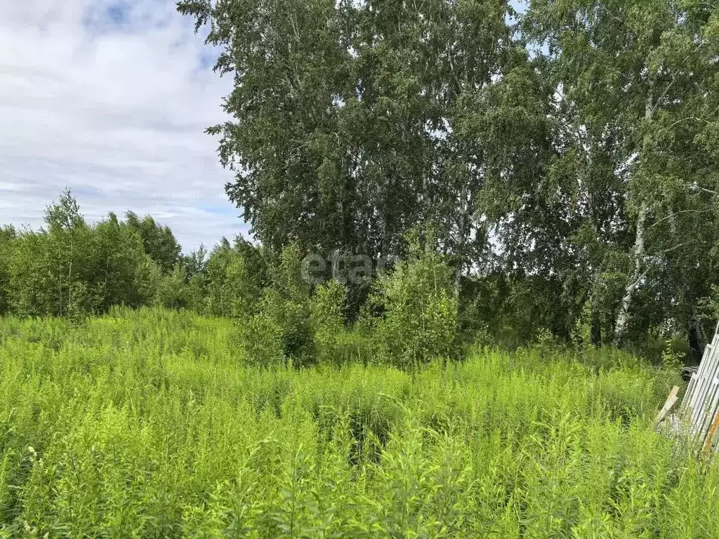 Участок в Новосибирская область, Мошковский район, пос. Октябрьский, ... - Фото 1