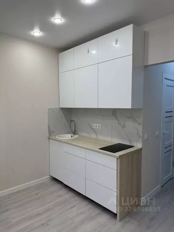 Студия Краснодарский край, Анапа ул. Толстого, 130к3 (26.0 м) - Фото 1