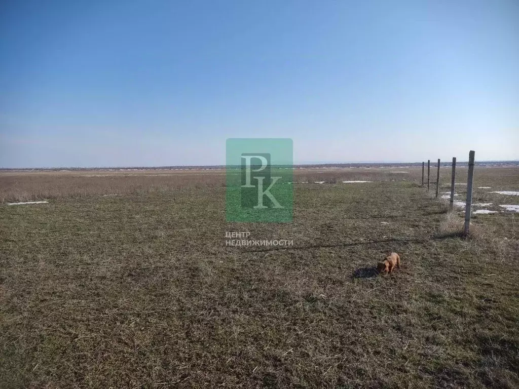 Участок в Крым, Советский район, с. Пруды ул. Крымская, 31 (12.0 сот.) - Фото 1