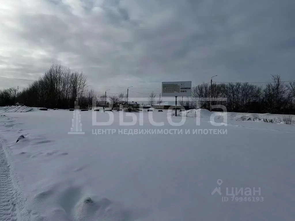 Участок в Воронежская область, с. Новая Усмань, Соловьиный мкр  (10.0 ... - Фото 0