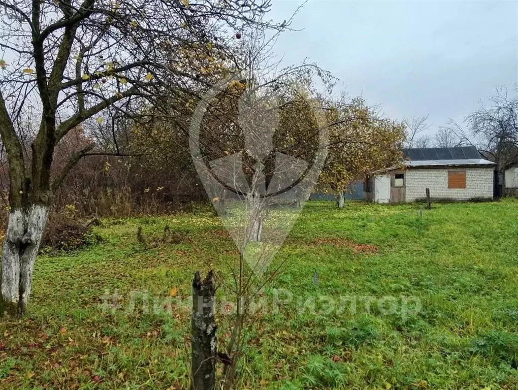 Участок в Рязанская область, Рязань Бетонщик СТ, 29 (4.29 сот.) - Фото 2