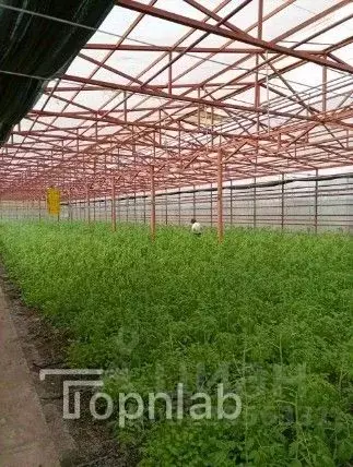 Производственное помещение в Ставропольский край, Изобильный ул. ... - Фото 2