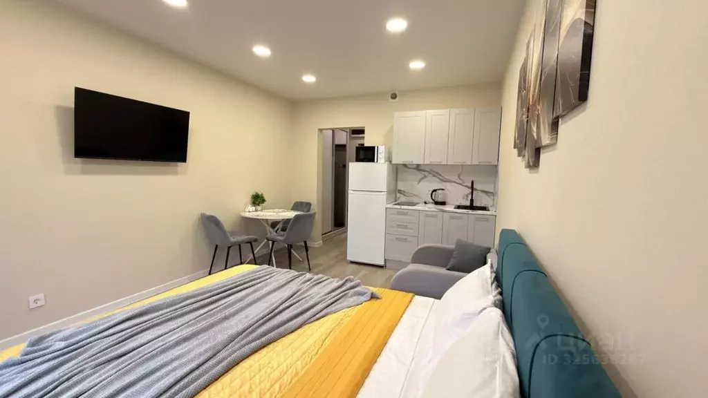 Студия Краснодарский край, Сочи ул. Искры, 88к3 (29.0 м) - Фото 2