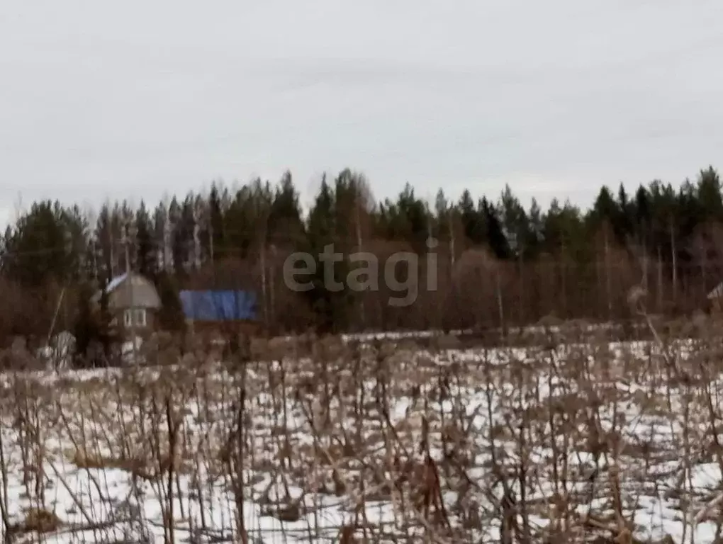 Участок в Коми, Корткеросский район, Корткерос муниципальное ... - Фото 1