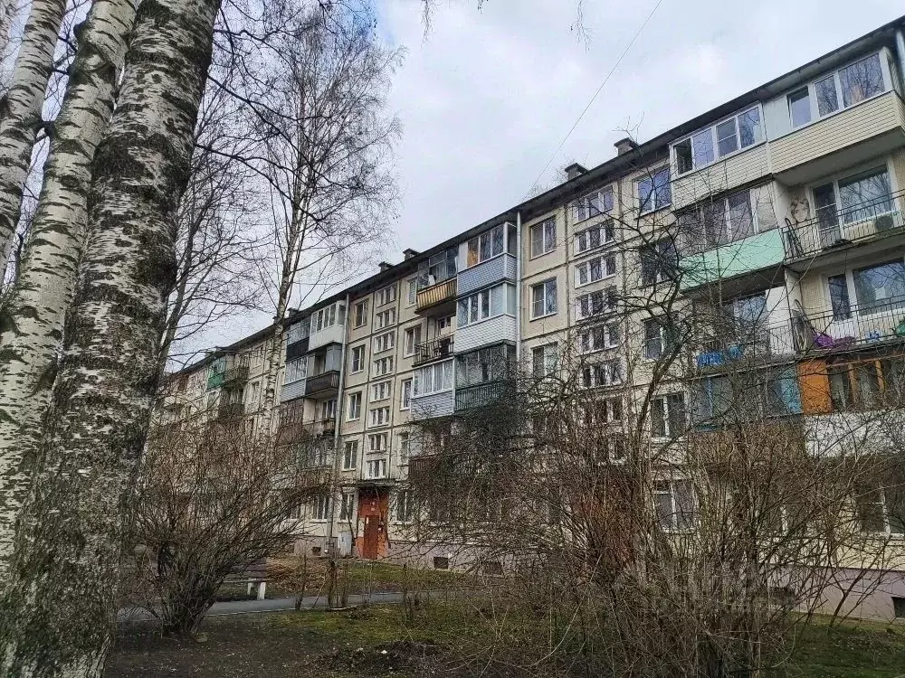 2-к кв. Санкт-Петербург ул. Верности, 26 (42.0 м) - Фото 2