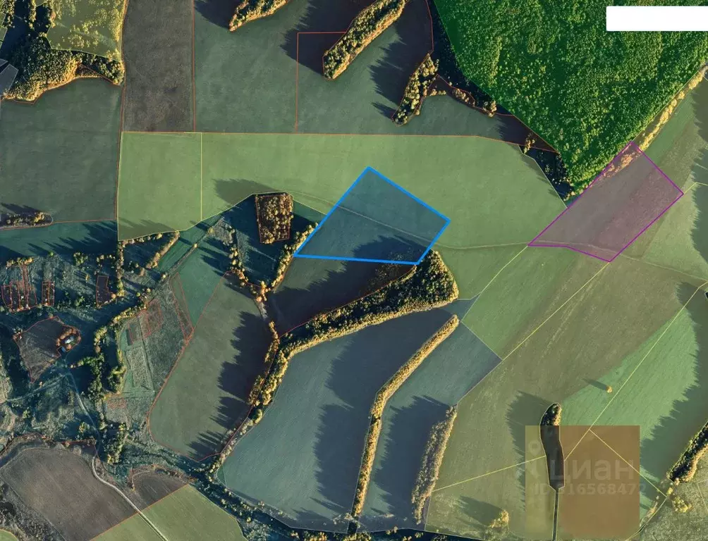 Участок в Тульская область, Заокский район, Демидовское с/пос, д. ... - Фото 2