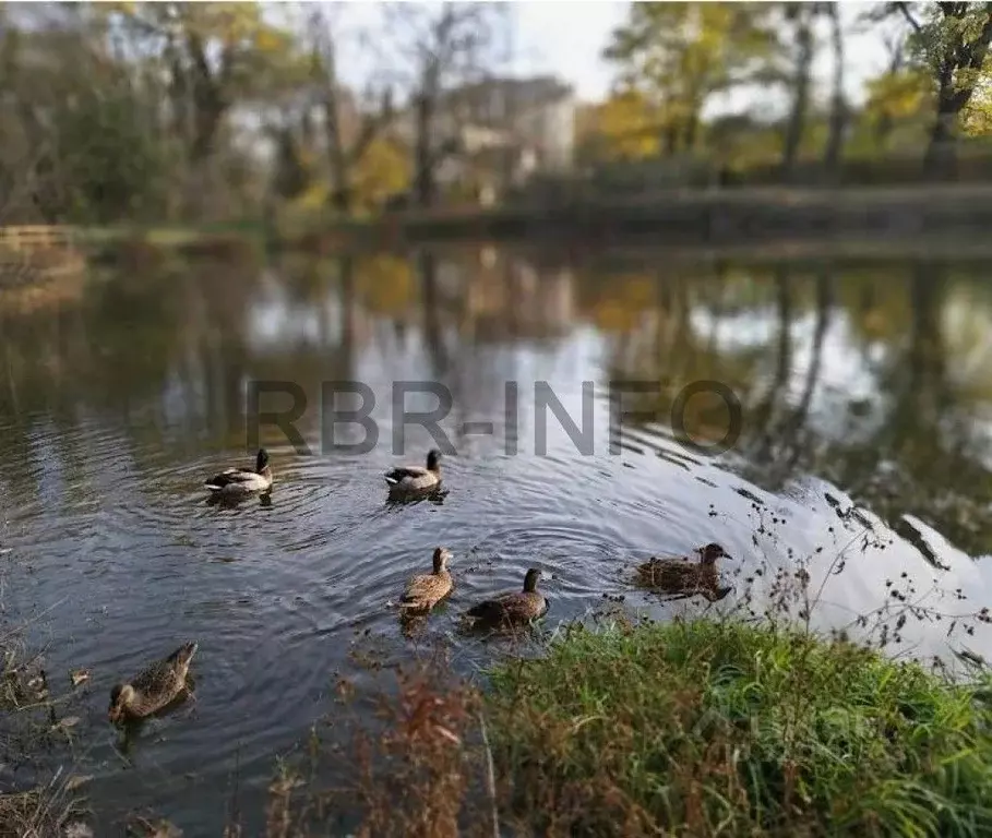 Дом в Ставропольский край, Ставрополь ул. Вавилова (216 м) - Фото 1