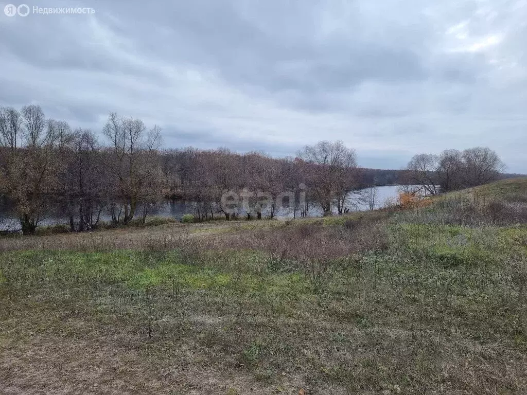 Участок в село Репное, улица Космонавтов (11.2 м) - Фото 2