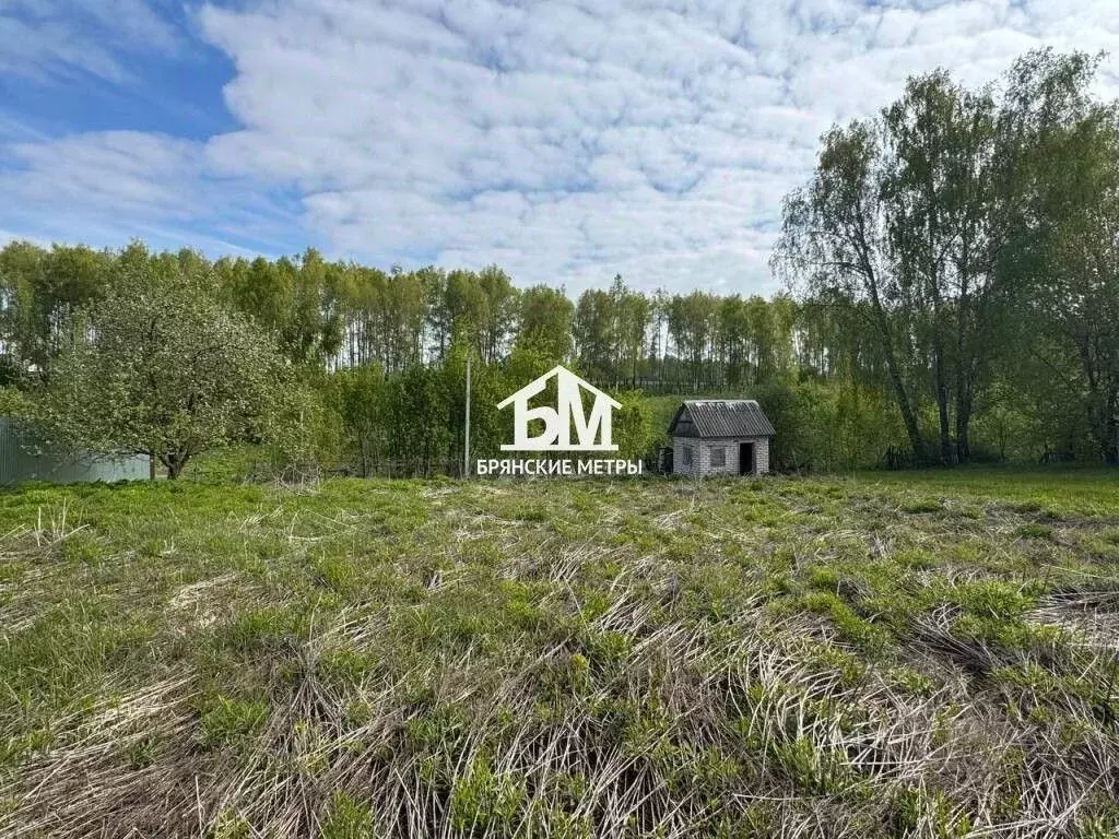 Участок в Брянская область, Брянский район, Мичуринское с/пос, ... - Фото 1