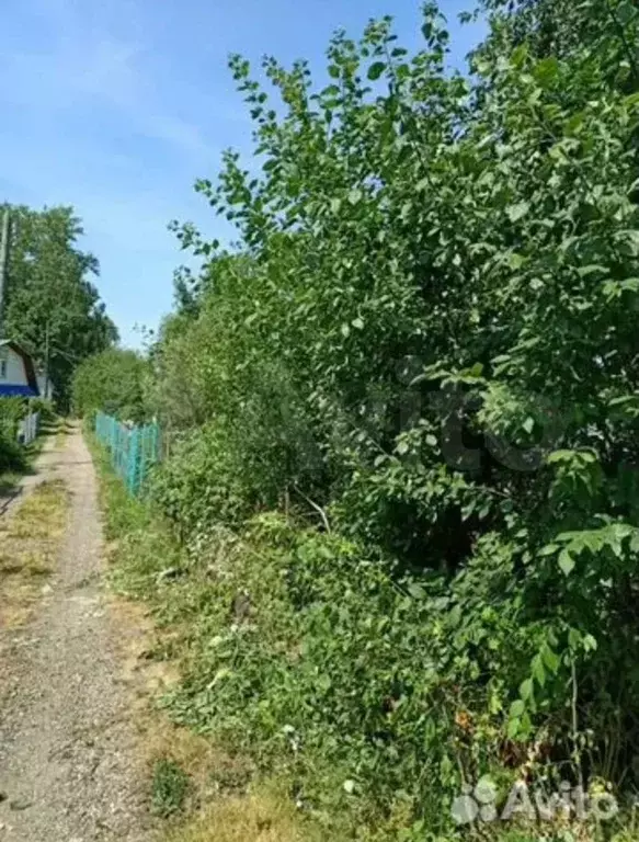 2 участок сормовского. Деревня Волобуево. Волобуево Курская область Курский район. Село Волобуево Курская область Рыльский район. Волобуево Пашковского сельсовета Курского района.