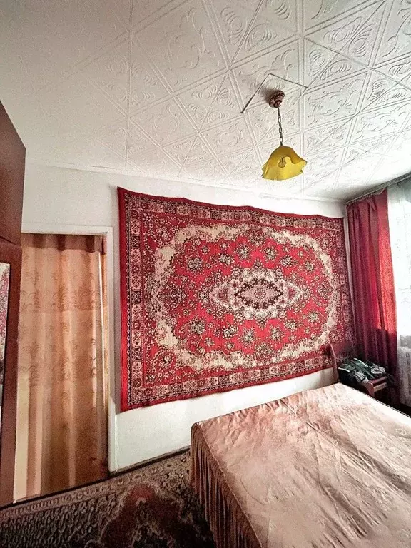 Дом в Амурская область, Райчихинск Северная ул., 1 (53 м) - Фото 2