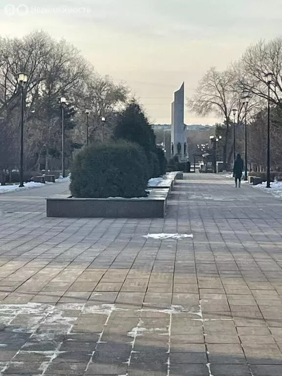 3-комнатная квартира: Омск, проспект Карла Маркса, 45 (75.9 м) - Фото 1