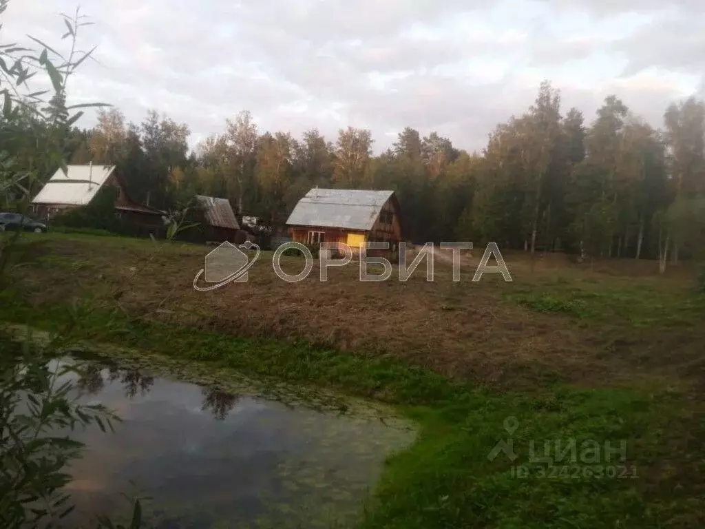 Участок в Тюменская область, Тюменский муниципальный округ, Лесное СНТ ... - Фото 2